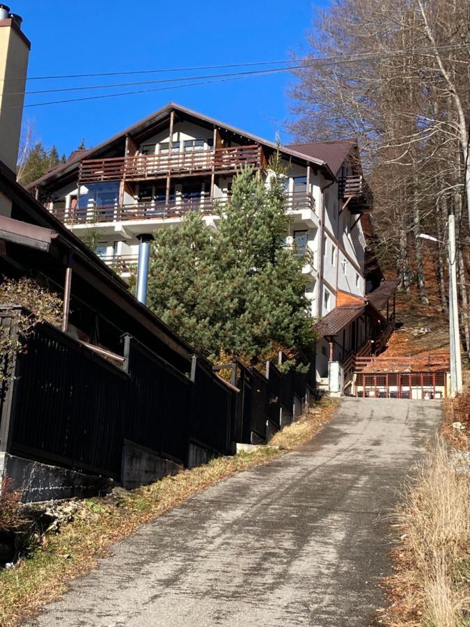 Ski View Studio - Near The Ski Slopes Azuga Exterior photo